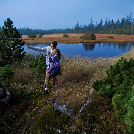 Отель Enztalhotel Энцклёстерле