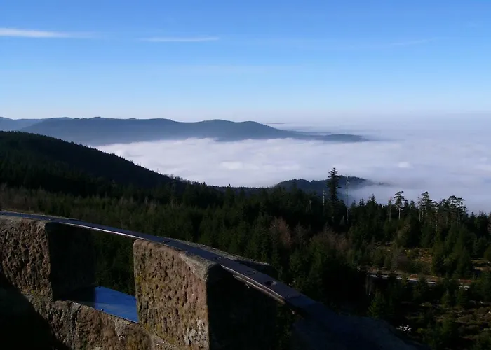 Enztalhotel فندق Enzklösterle