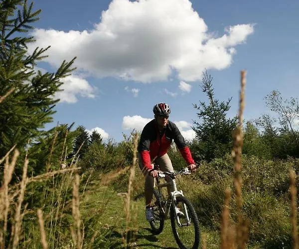 فندق Enztalhotel 4*