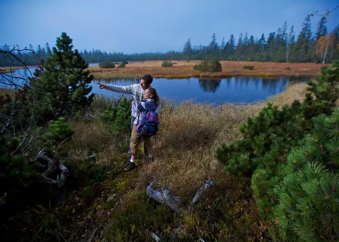 فندق Enztalhotel Enzklösterle