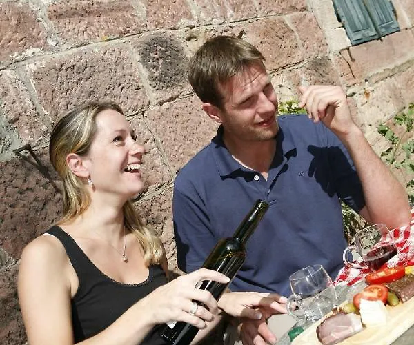 Enztalhotel فندق Enzklösterle